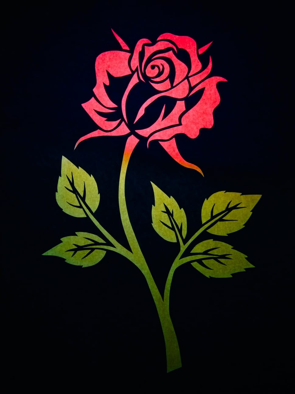 red rose drawing preview