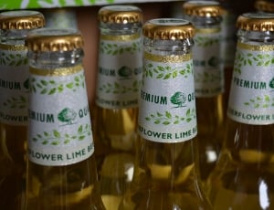 6 premium lime bottles thumbnail