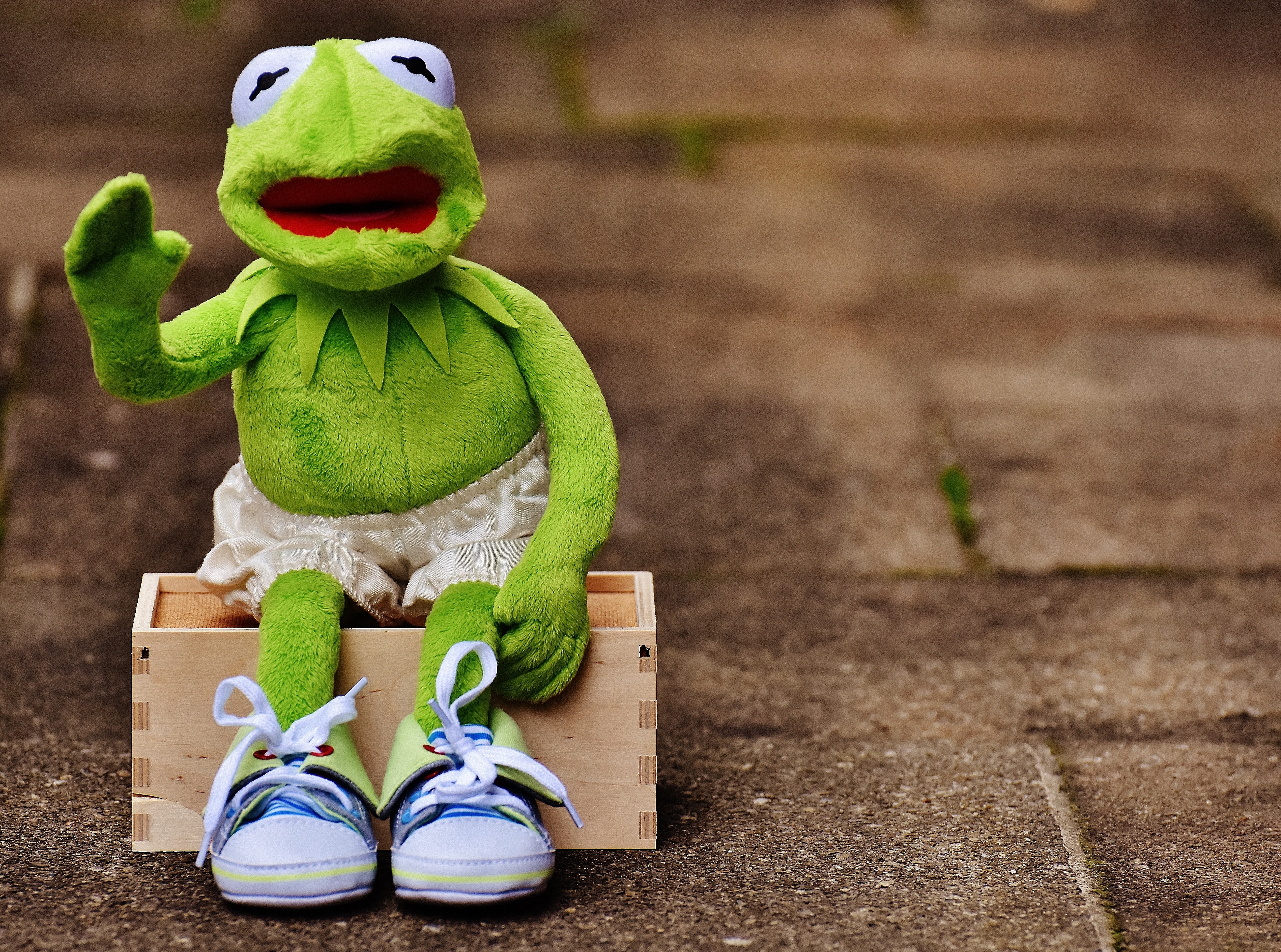 green and white frog plush toy