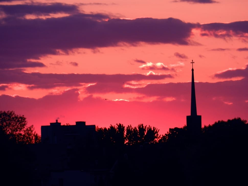 silhouette of trees and builsing preview