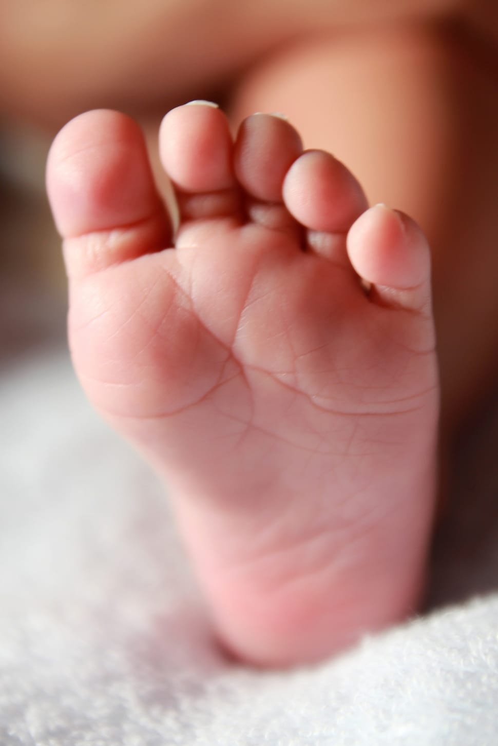Newborn, Baby Foot, Baby, Leg, Child, baby, human foot preview