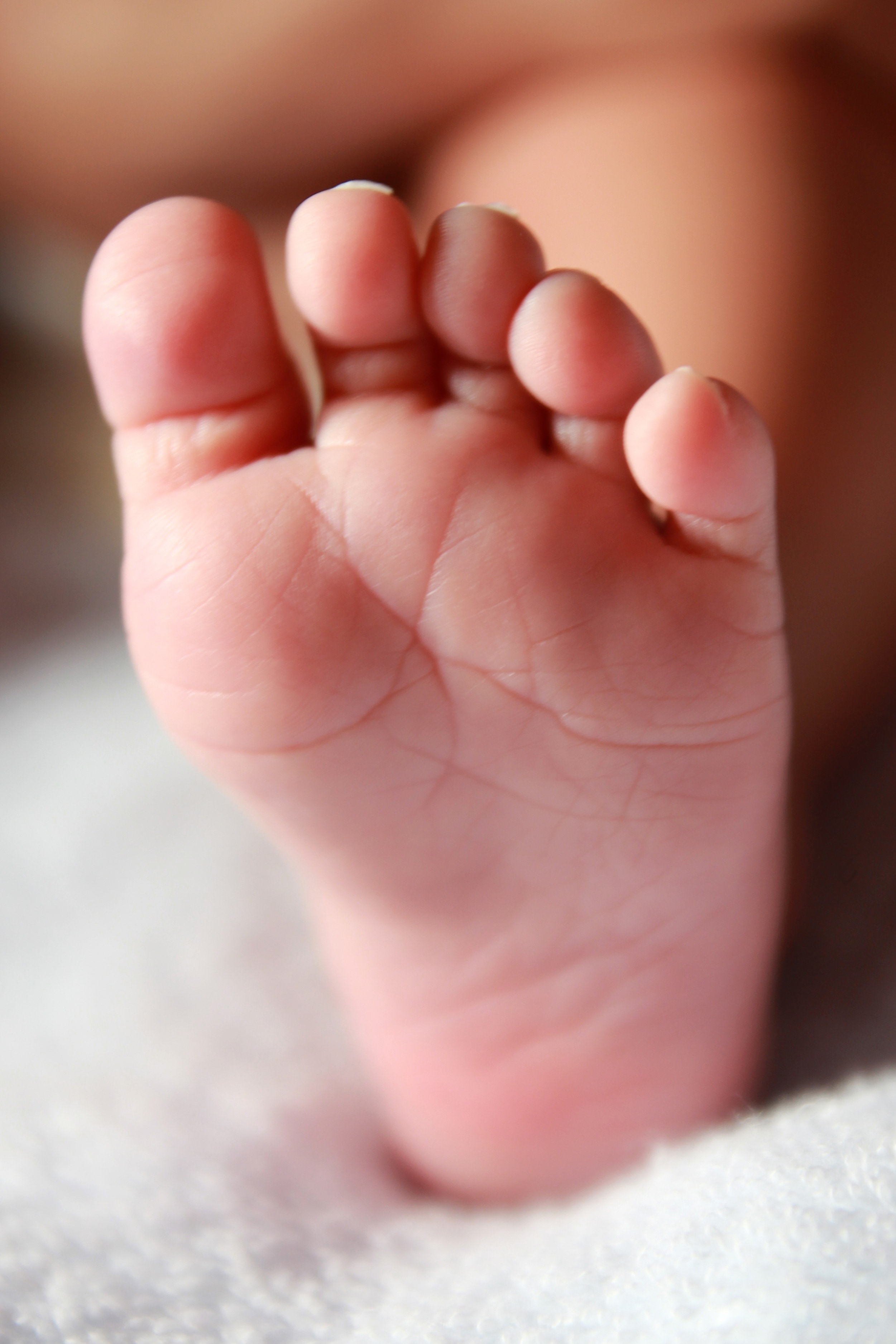 Newborn, Baby Foot, Baby, Leg, Child, baby, human foot