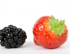 strawberry and blackberry berry thumbnail
