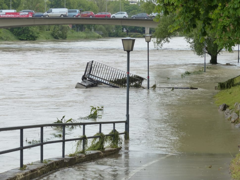 vehicles on bridge near tree and flood during daytime preview