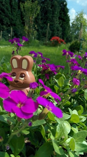 brown bunny figurine on purple flowers during daytime thumbnail
