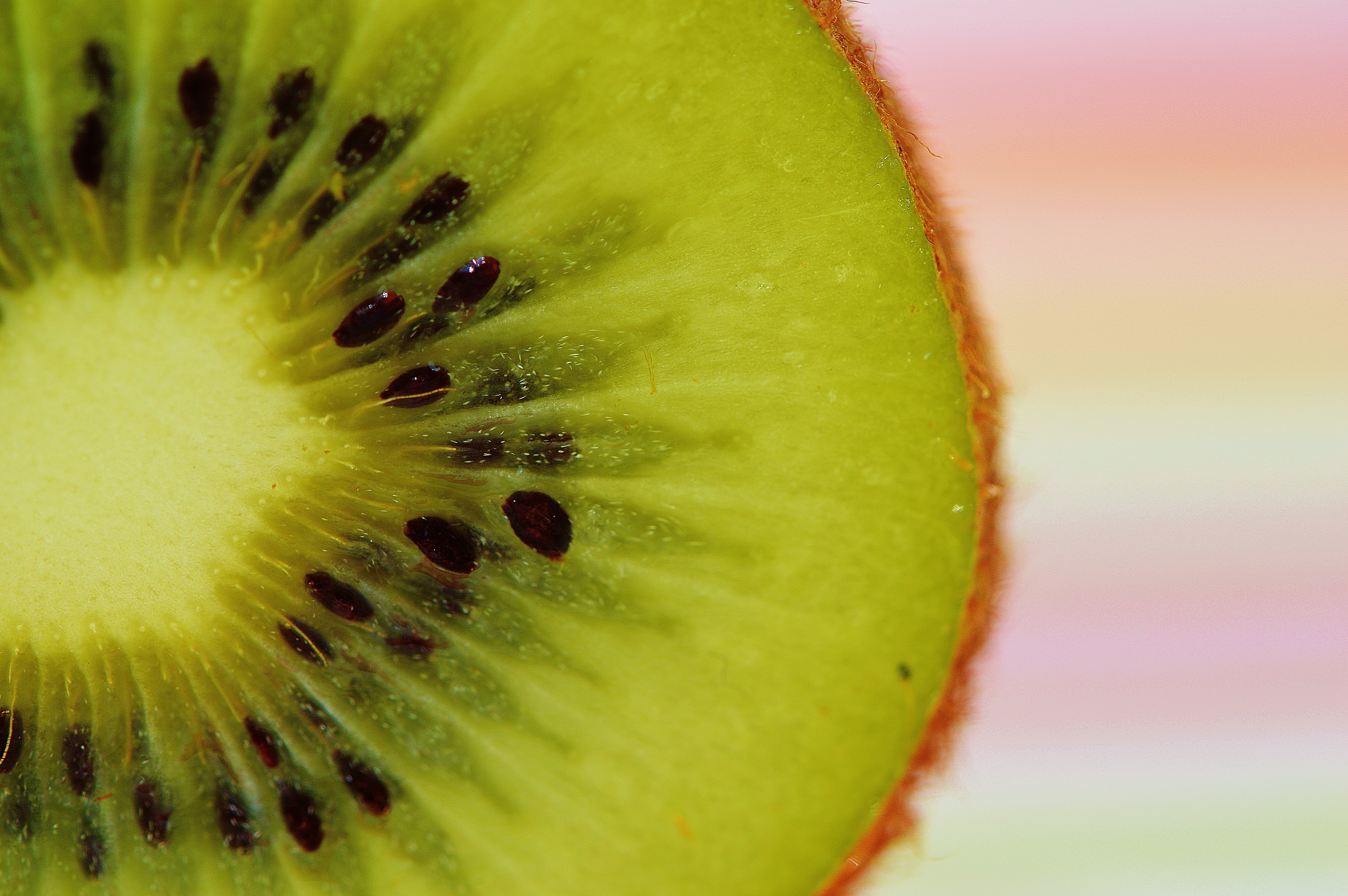 Kiwi, Fruit, Healthy, Vitamins, Food, fruit, slice