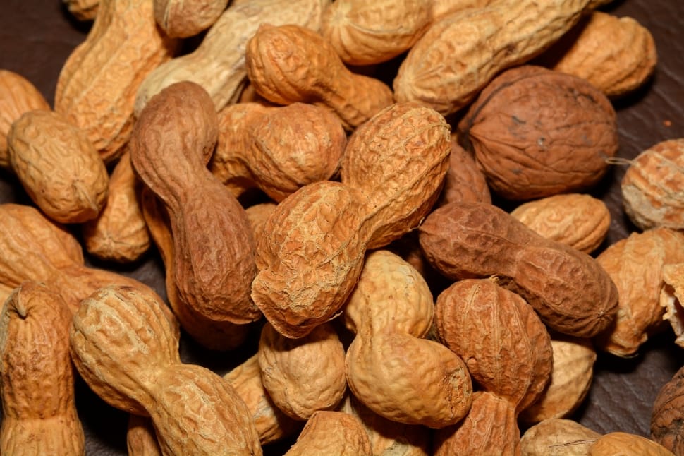 Peanuts, Healthy, Nuts, Close, Nutrition, food and drink, nut - food preview
