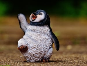 white and black penguin figurine thumbnail