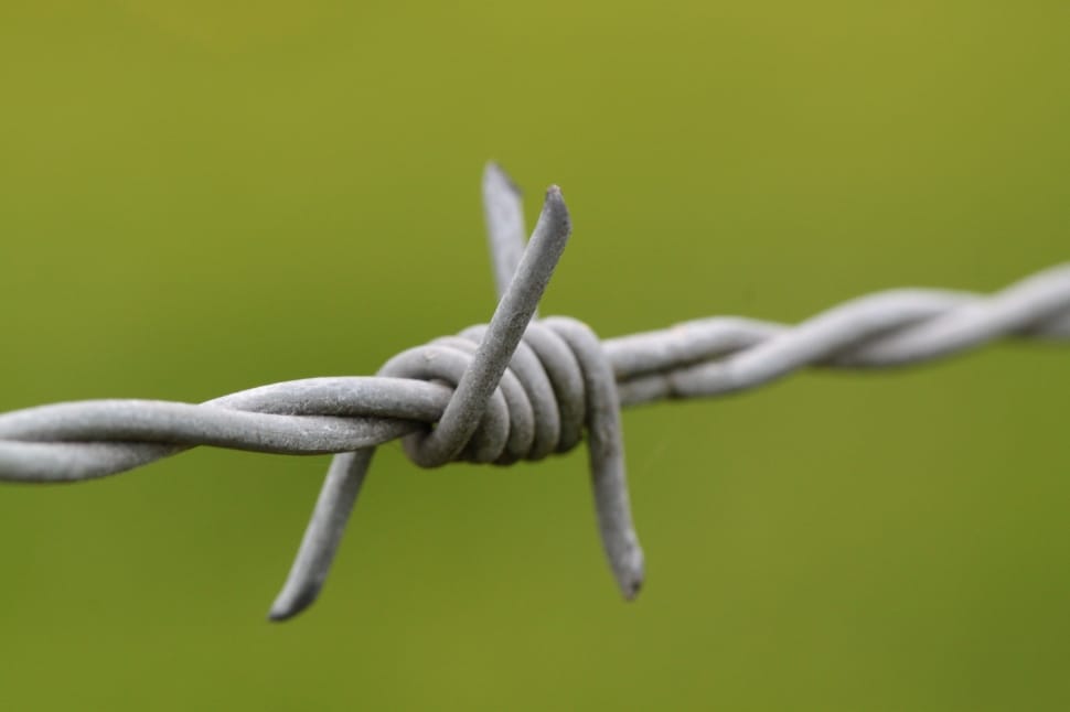 gray barbwire preview