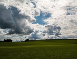 wide field under cloudy sky during daytime thumbnail