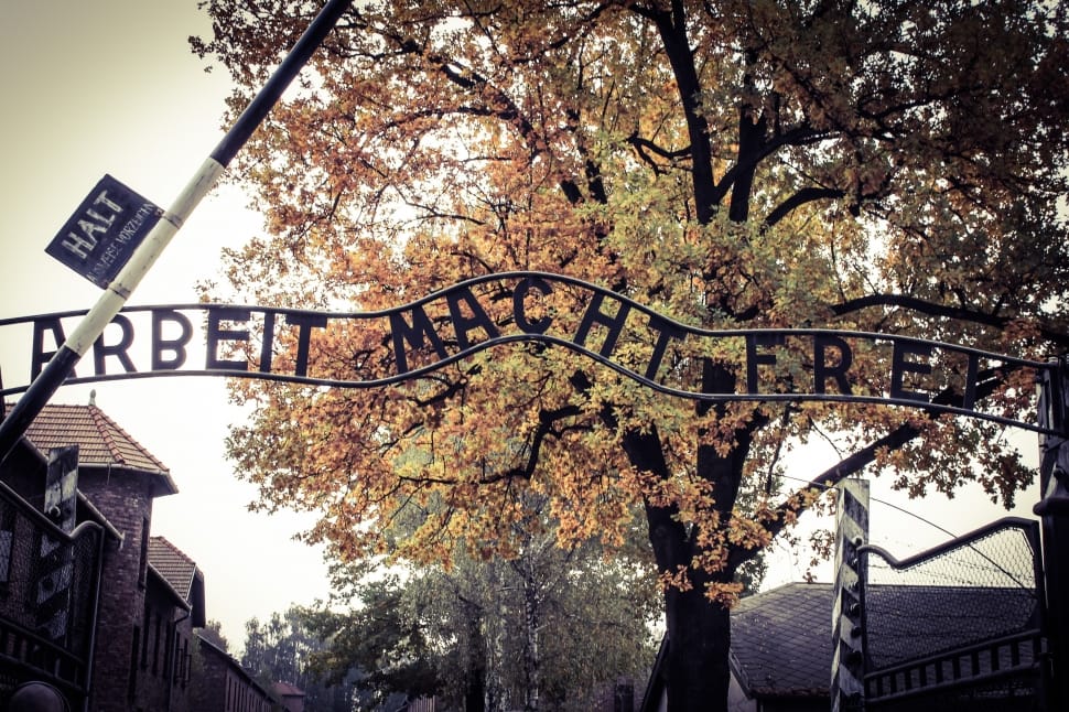 arbeit macht frei preview