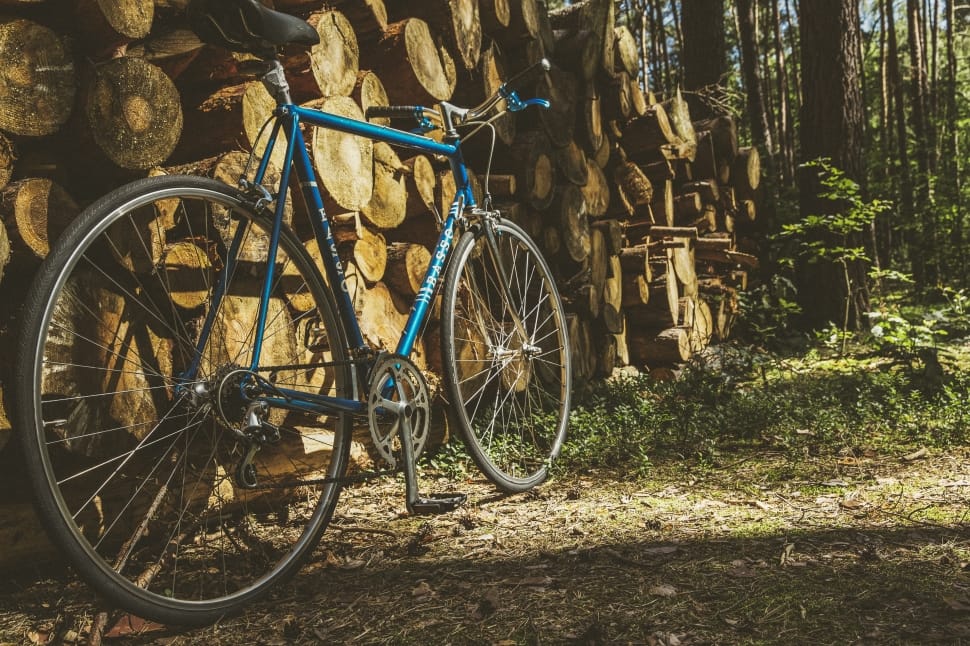 blue and black mountain bike preview