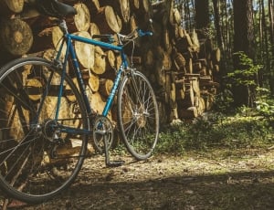blue and black mountain bike thumbnail