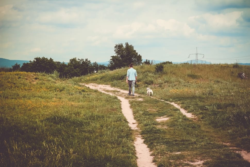 man in blue shirt walking in dirt road with white dog preview