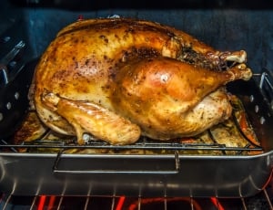 Turkey, Cooking, Dinner, Meal, Oven, roasted, roast chicken thumbnail