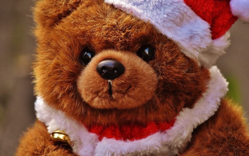 brown teddy bear with santa hat preview