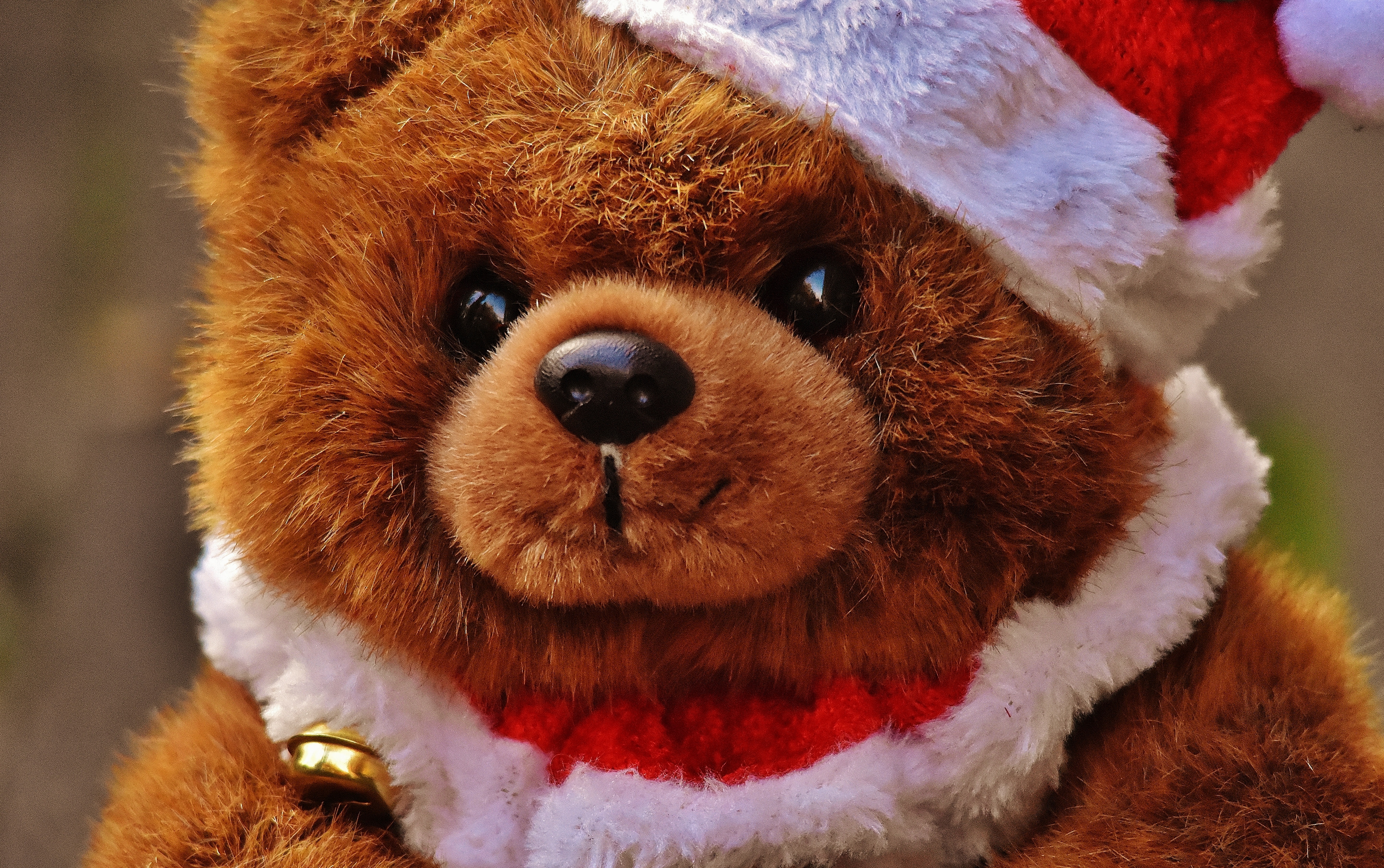 brown teddy bear with santa hat