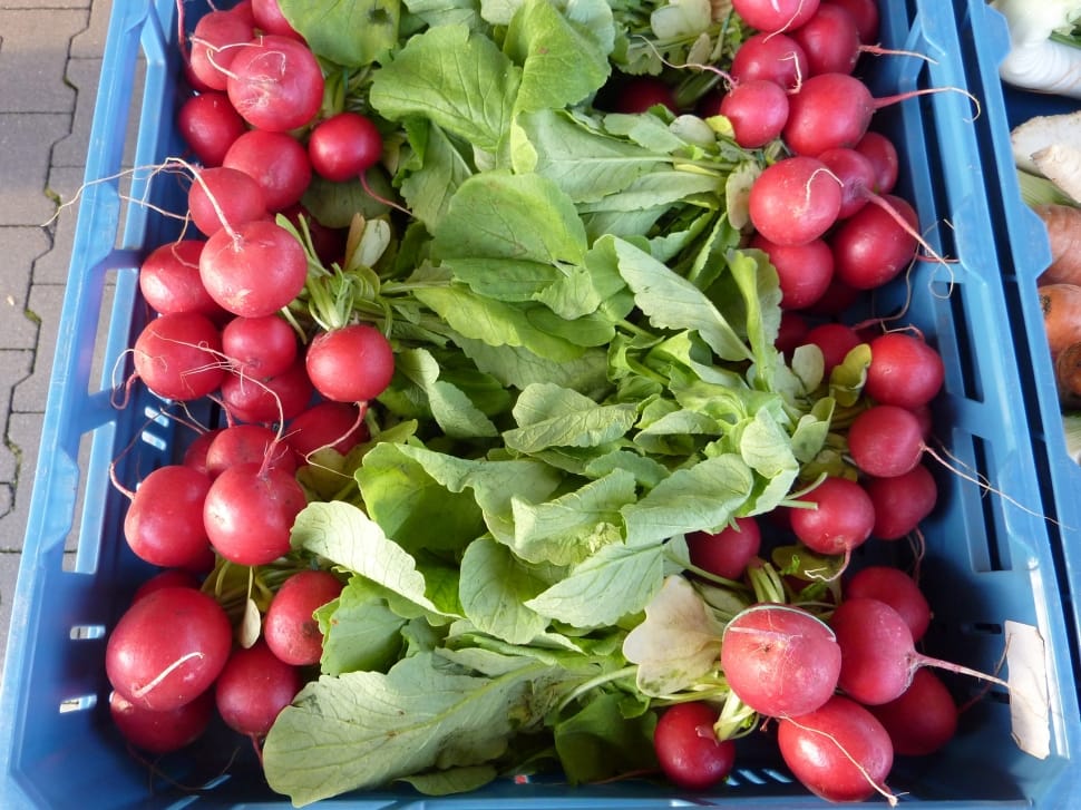Radishes, Fresh, Vegetables, Market, food and drink, freshness preview
