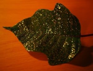 green silver sequin leaf decor thumbnail