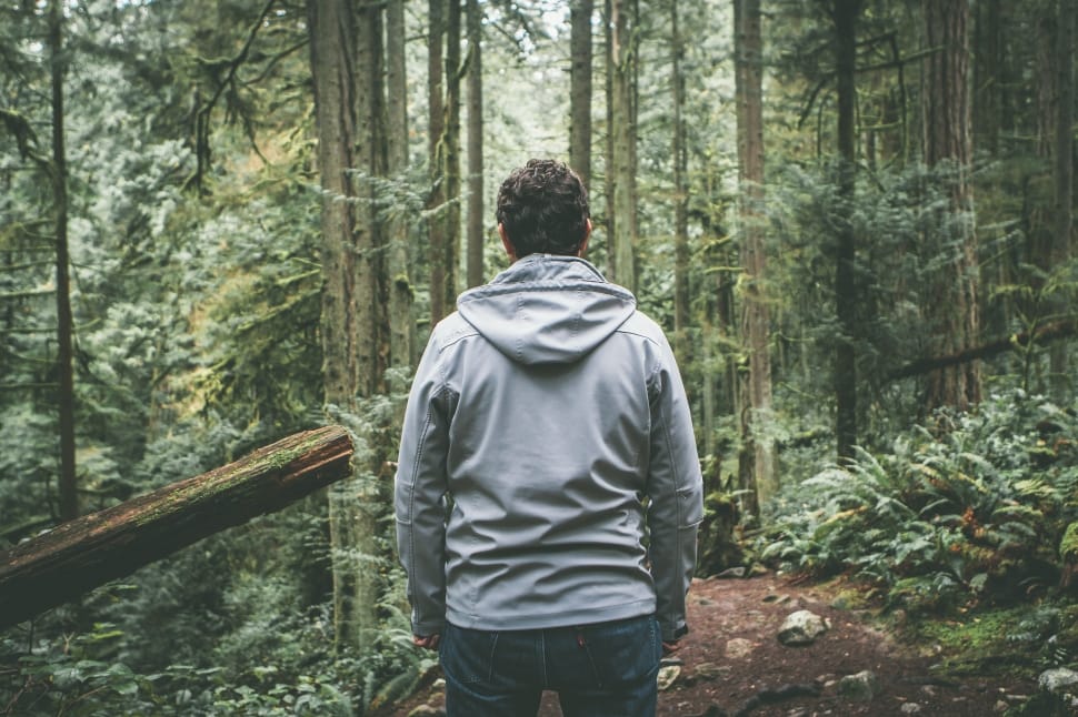 men wearing gray hoodie in forest preview