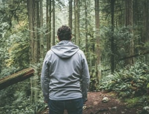 men wearing gray hoodie in forest thumbnail