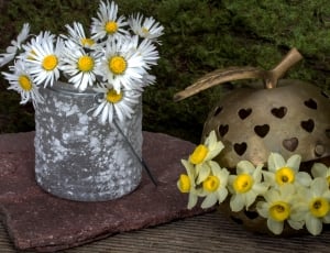 daisy flower on can and yellow and white flowers on tables thumbnail