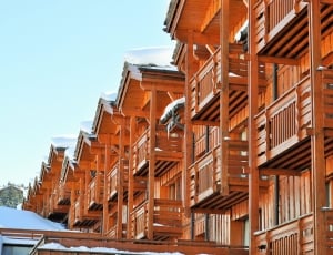 brown wooden houses thumbnail