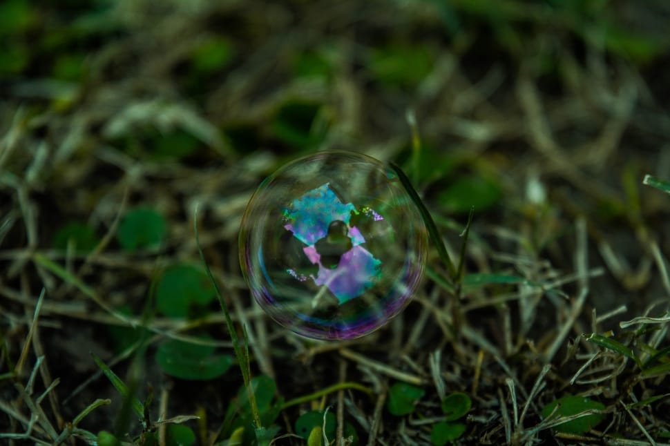 shallow focus photography of bubble preview