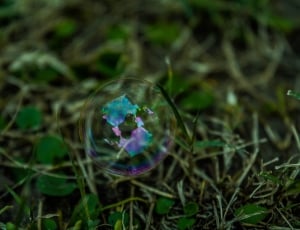 shallow focus photography of bubble thumbnail
