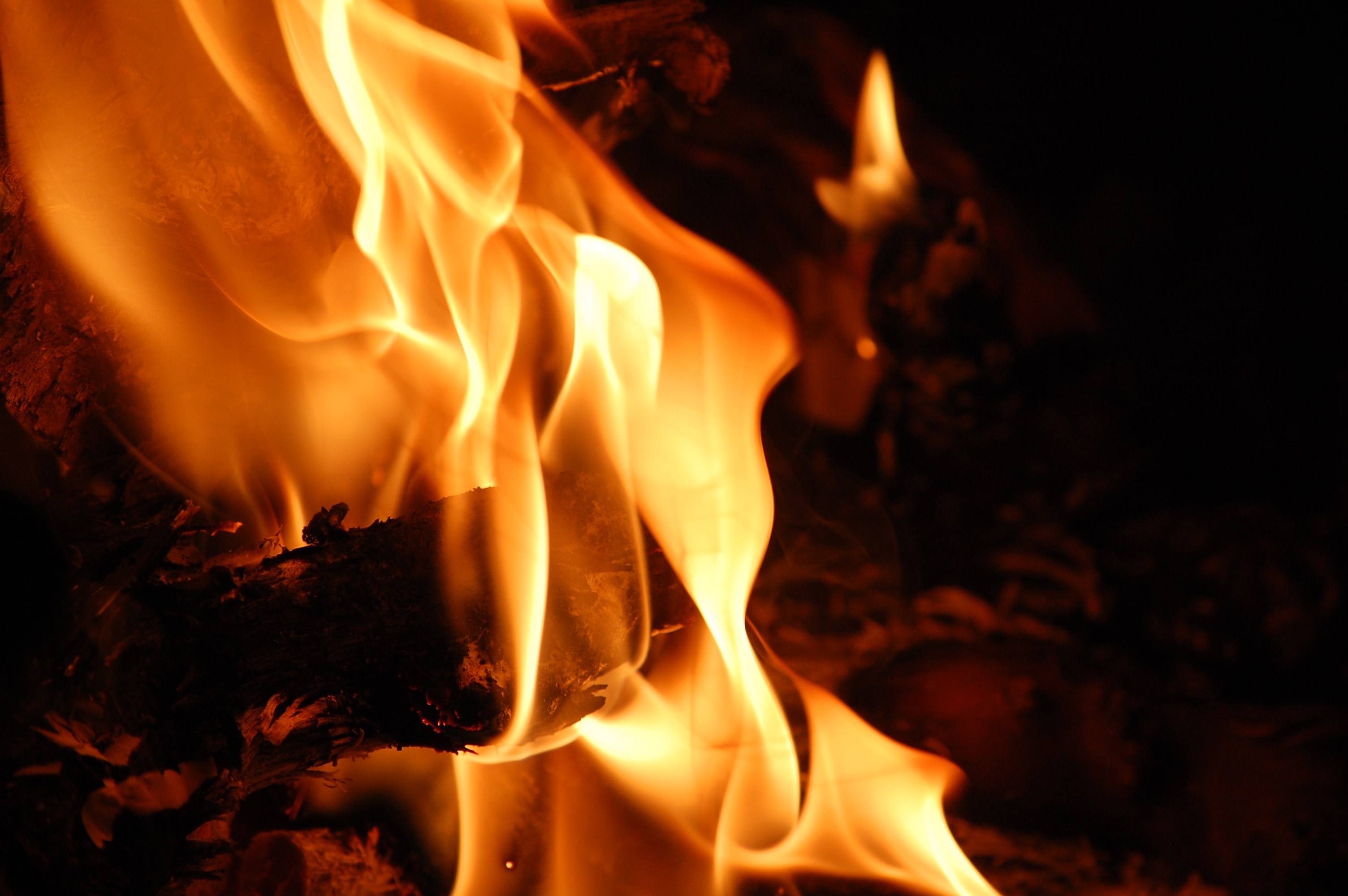 Fire, Flames, Macro, heat - temperature, burning