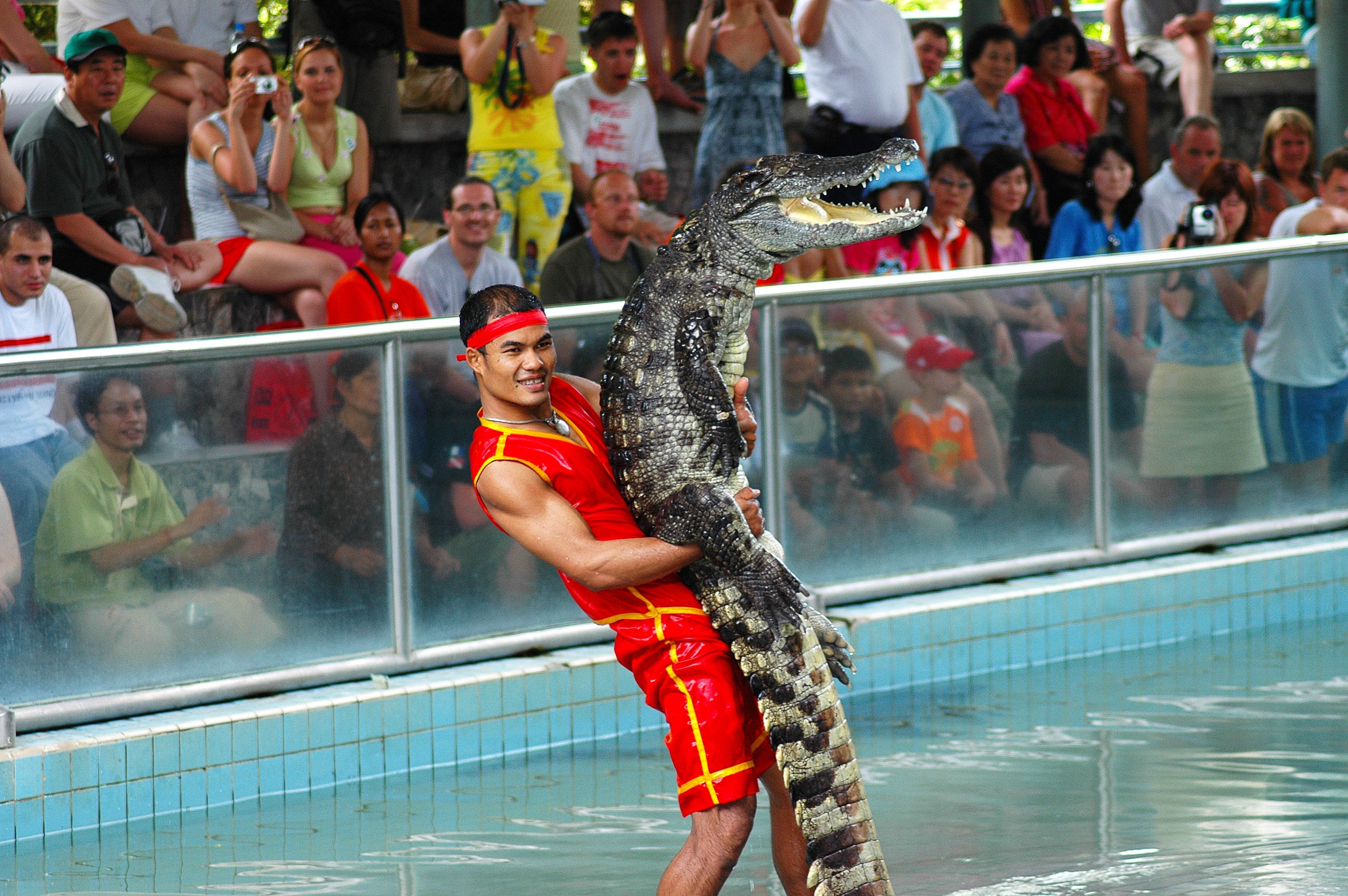 Crocodile Band, Million Year Stone Park, sport, large group of people