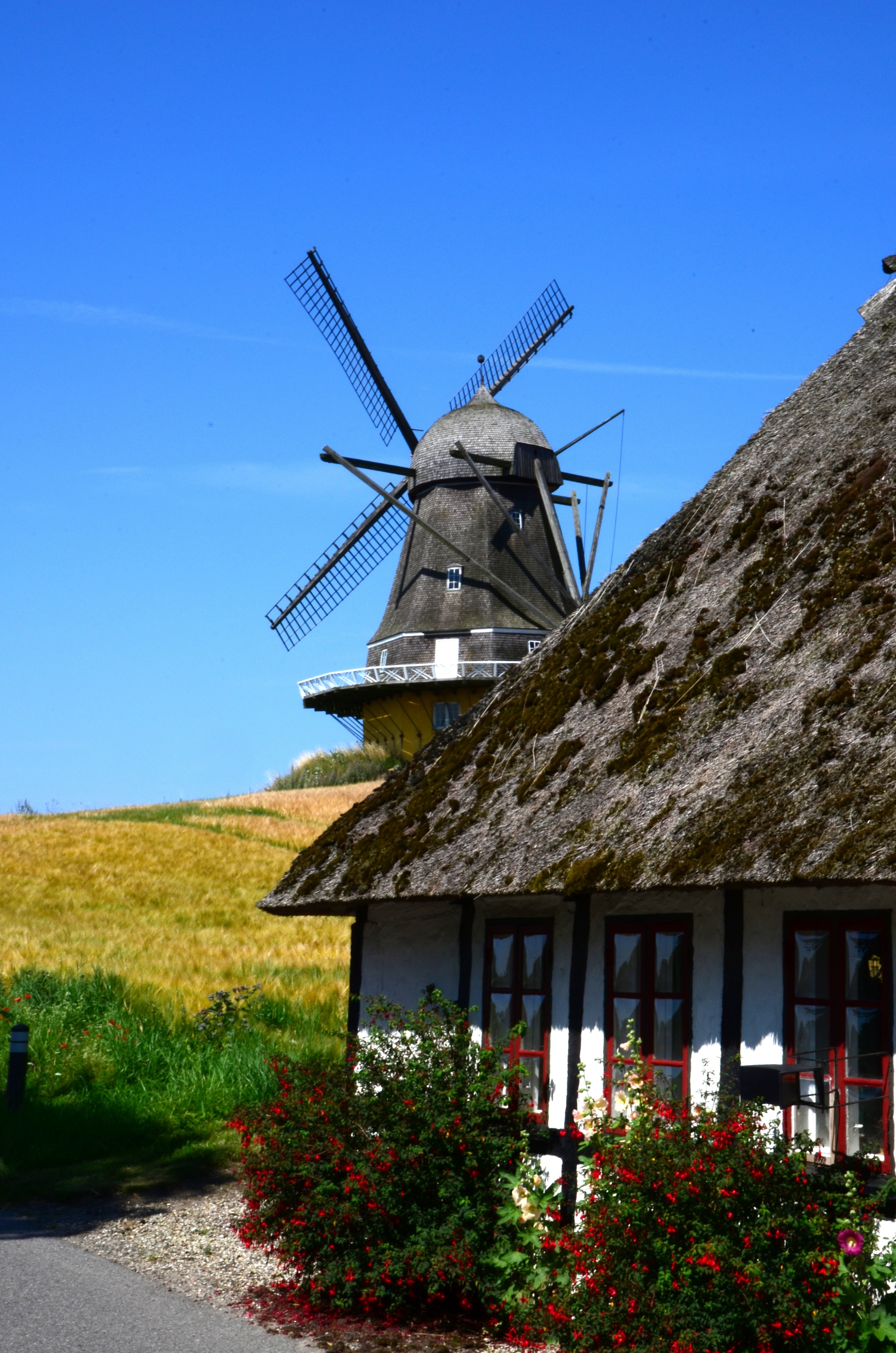 black traditional windmill