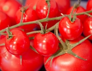 Frisch, Food, Tomatoes, Vegetables, Red, red, food and drink thumbnail