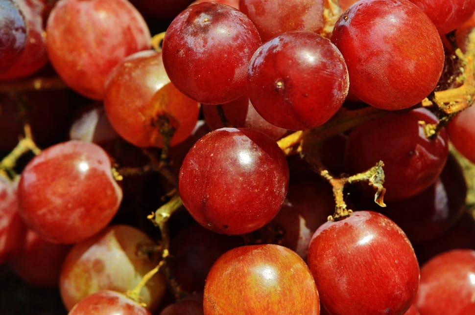 red grapes preview