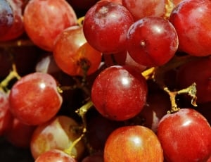 red grapes thumbnail