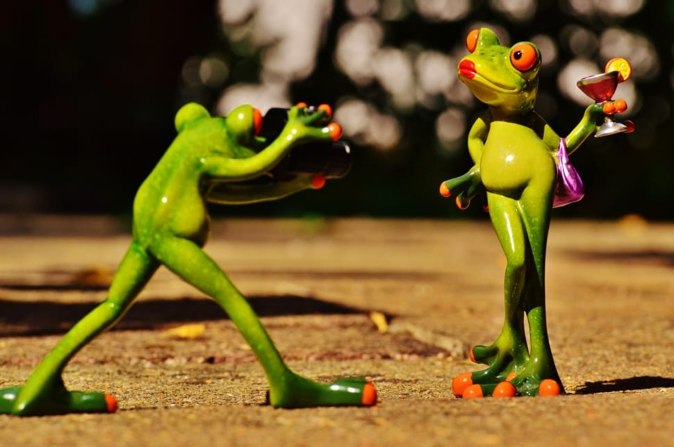 selective photography of two green frogs preview