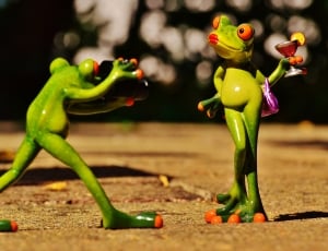 selective photography of two green frogs thumbnail