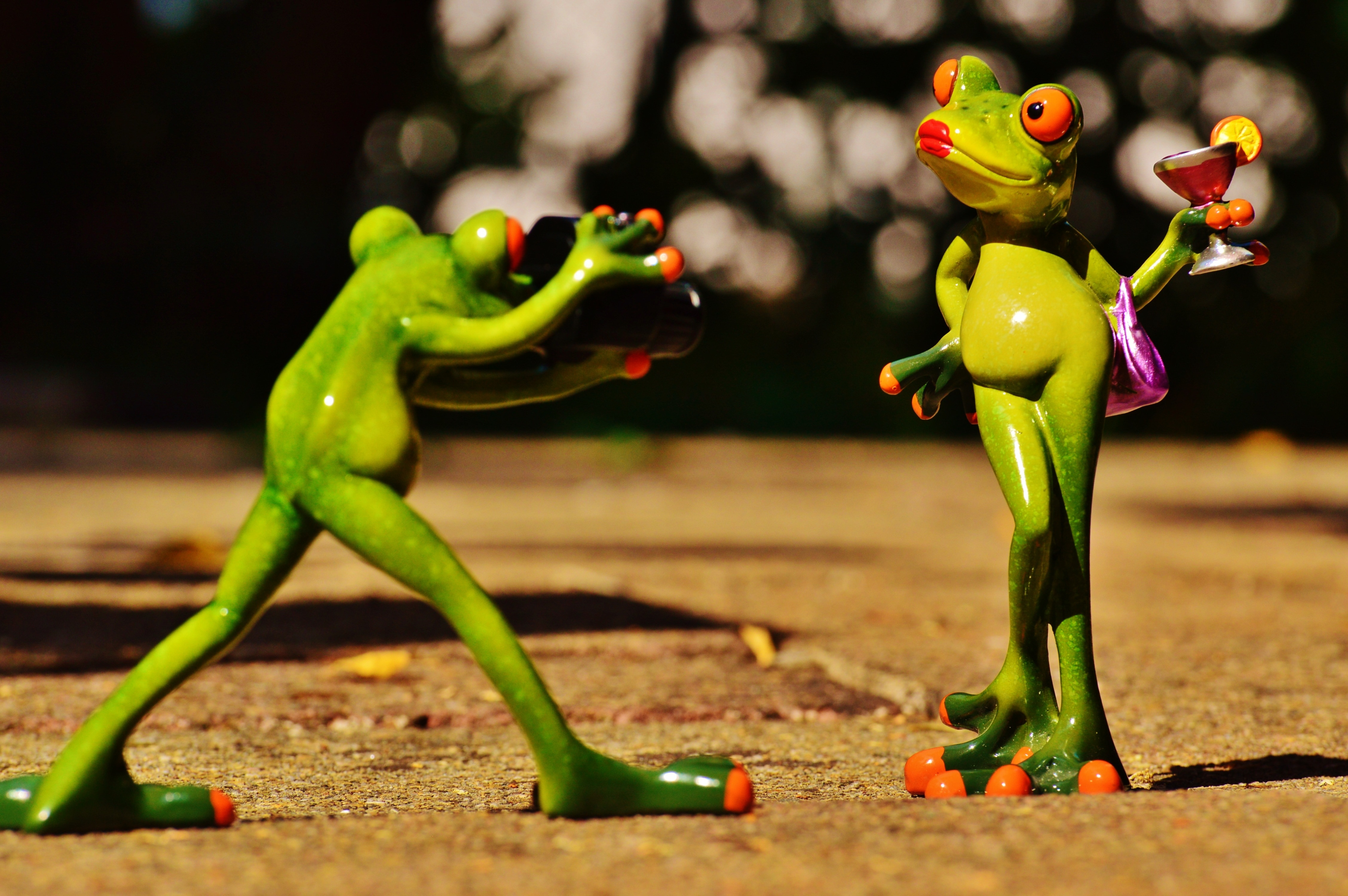 selective photography of two green frogs