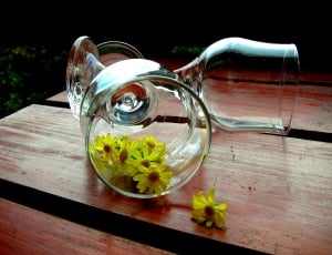 2 clear wine glasses and artificial sunflowers thumbnail