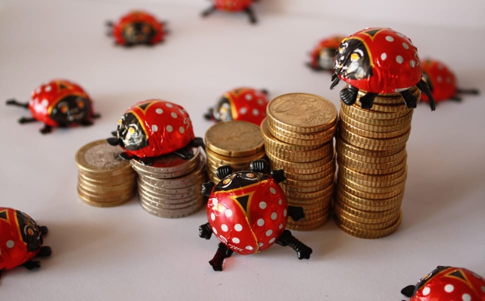 plastic lady bug and gold coin lot preview