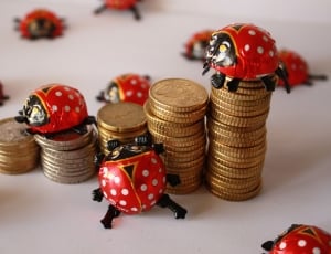plastic lady bug and gold coin lot thumbnail