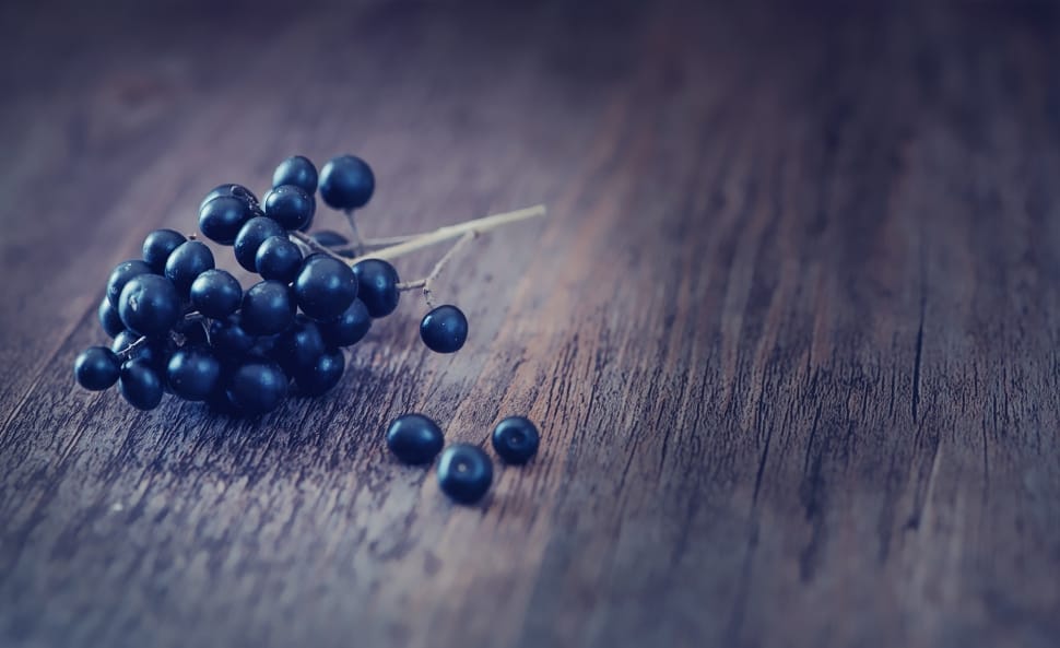 blueberry fruits preview