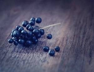 blueberry fruits thumbnail