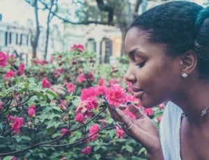 woman snipping pink flower during day time thumbnail