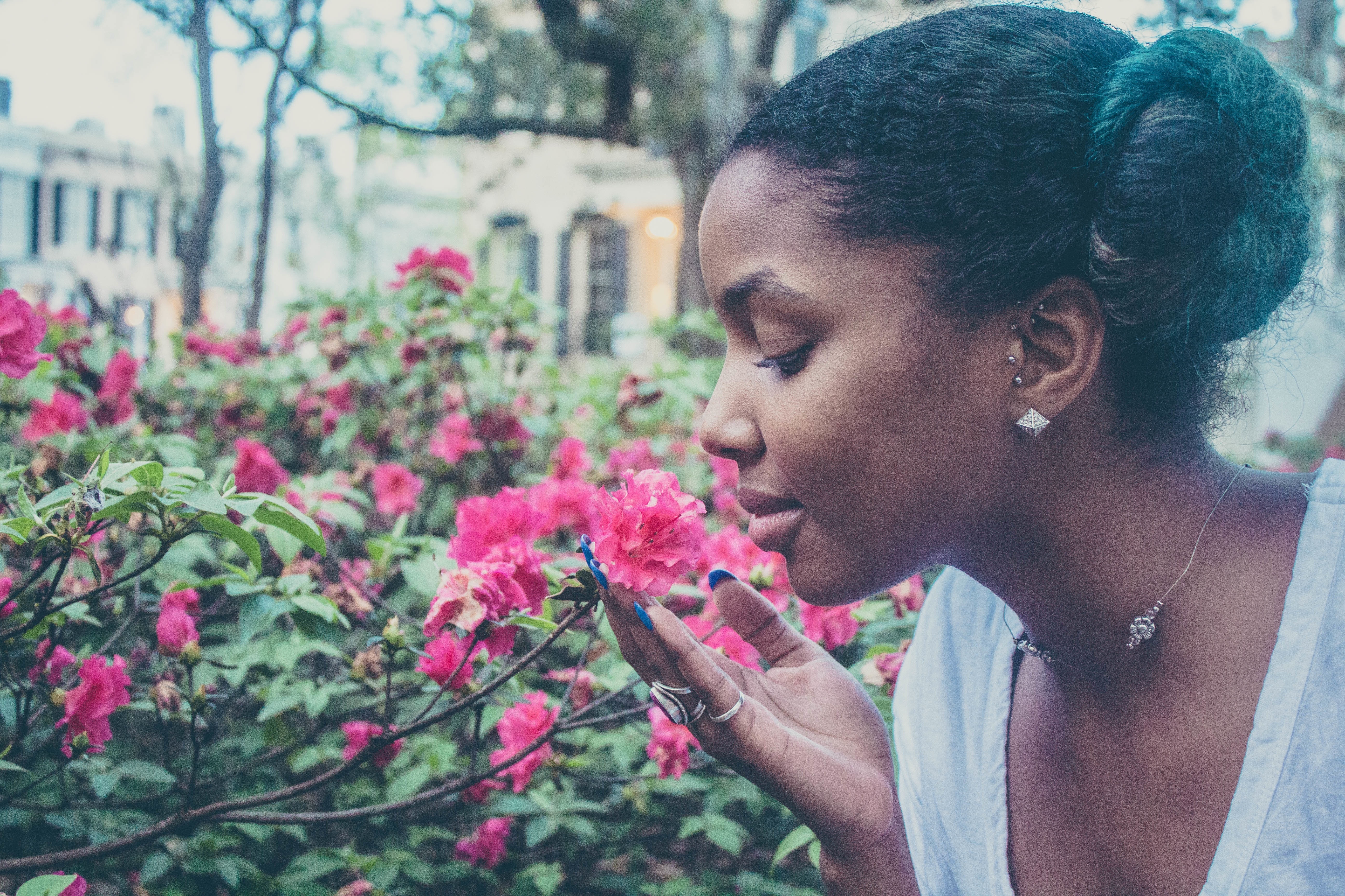 woman snipping pink flower during day time