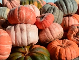 Patch, Halloween, Orange, Pumpkins, pumpkin, halloween thumbnail