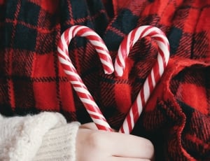 person in red and black checked shirt holding 2 white-and-red candy canes thumbnail