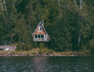 brown wooden house and body of water thumbnail