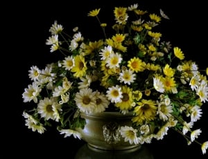 yellow and white artificial flowers thumbnail