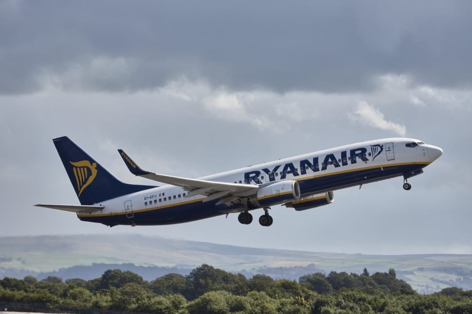 white and blue ryanair airplane preview
